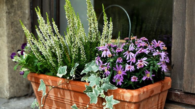 Automne : réalisez des jardinières fleuries pour vos balcons