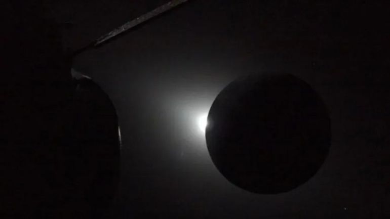 Quels sont les impacts d'une éclipse sur les animaux ? Réponse avec un spécialiste