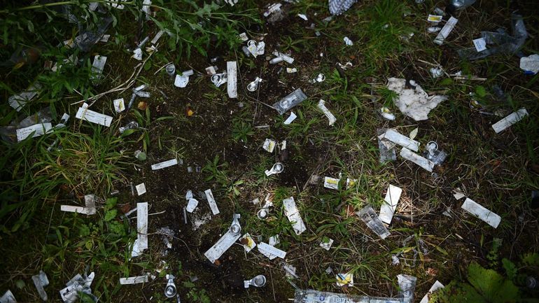 Vu d’Europe : quand la contamination de l’eau par la cocaïne modifie le comportement du saumon, selon une étude