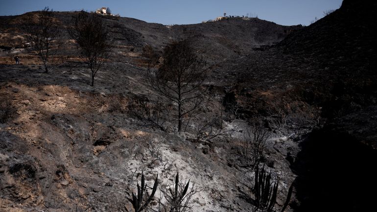 Incendies en Andalousie : trois potentielles victimes belges et une polémique sur la communication des informations