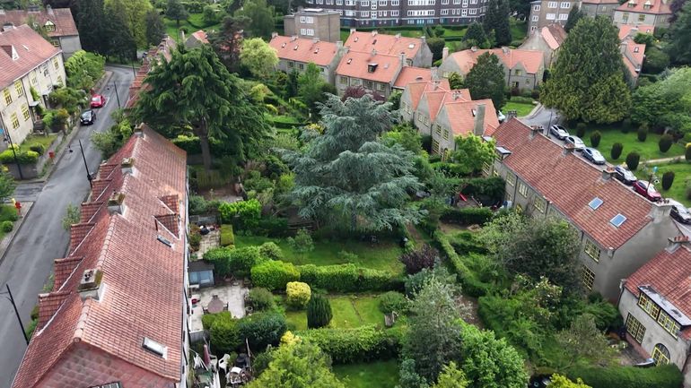 Cité-jardin : "En pleine canicule, on a certainement 4 °C en moins que dans le centre-ville"