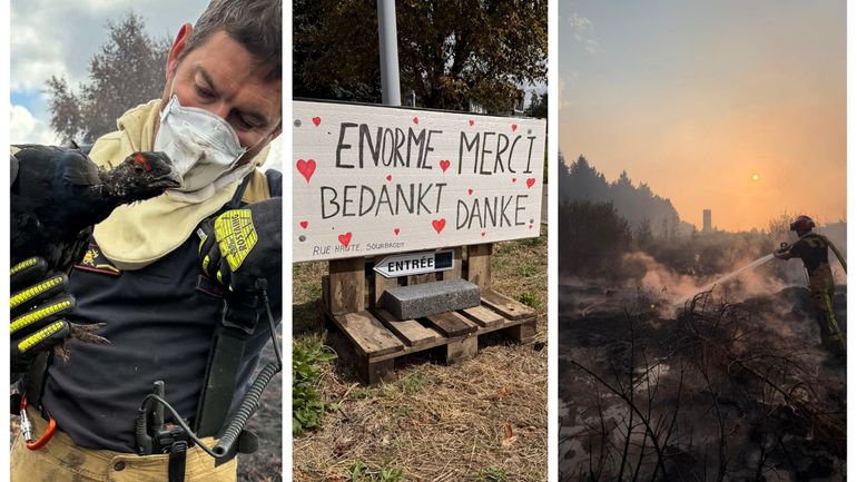 Incendie dans les Hautes Fagnes : le feu contrôlé, les autorités planifient la surveillance, un tétras-lyre sauvé du brasier (revoir notre direct)