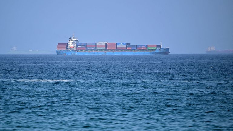 Guerre au Moyen-Orient : malgré les attaques, des dizaines de navires continuent de traverser le détroit d'Ormuz