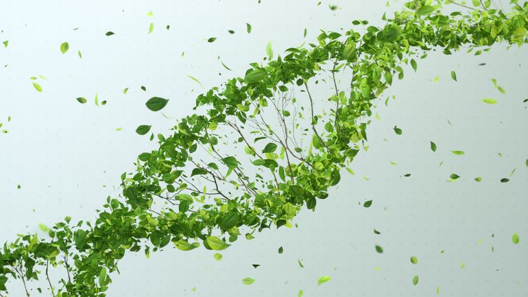 L'Union européenne trouve un accord sur les "NGT", la nouvelle génération des organismes génétiquement modifiés