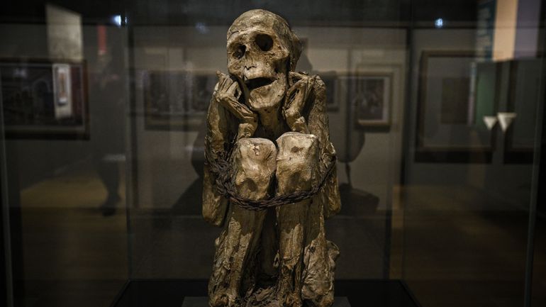 "Momies" au Musée de l’Homme à Paris : une histoire des pratiques funéraires de par le monde "Momies" au Musée de l’Homme à Paris : une histoire des pratiques funéraires de par le monde