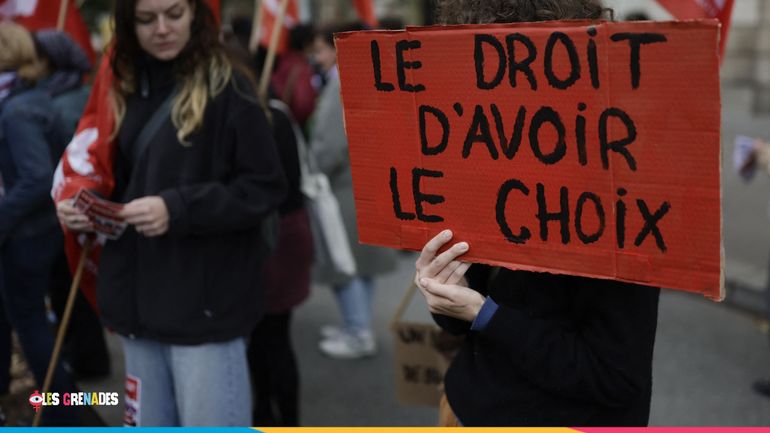 La réforme de la loi sur l'IVG mise au frigo : "Un marchandage politique qui se répète"