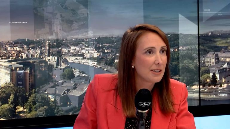 La transaction pénale dans l'affaire Reynders-ING "manque cruellement de transparence et de moralité", dénonce Sophie Rohonyi (DéFI)