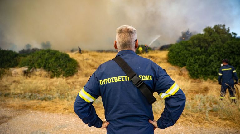 Feux de forêt en Grèce : trois personnes en détention provisoire après l'incendie à l'ouest d'Athènes