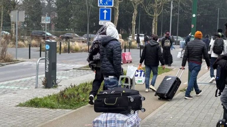 Revers pour la politique d'asile belge : la Cour constitutionnelle suspend deux restrictions à l'accueil des demandeurs d'asile