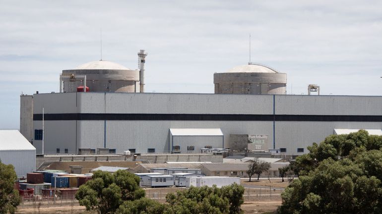L'unique centrale nucléaire d'Afrique mise à mal par des sardines mortes