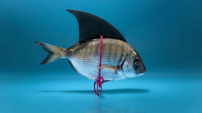 La revue de presse : 1er avril, la presse n'a pas le coeur à rire