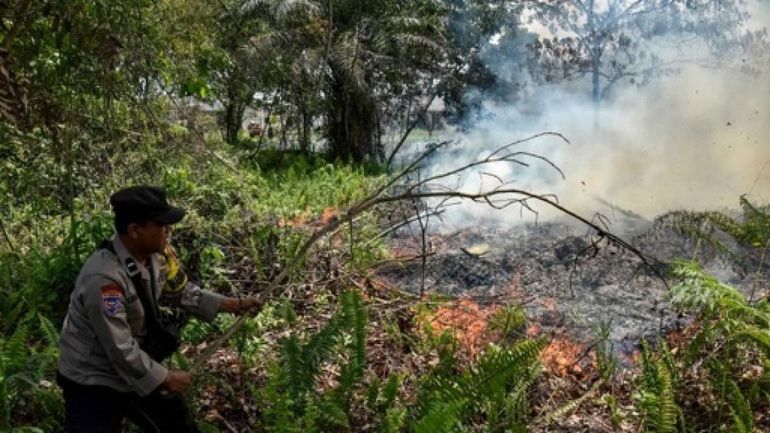 Feux de forêt : l'Indonésie va déployer des centaines de soldats pour lutter contre les incendies à Bornéo