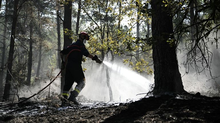 Incendies en forêt de Fontainebleau : un homme interpellé mardi soir ressorti libre, selon la procureure