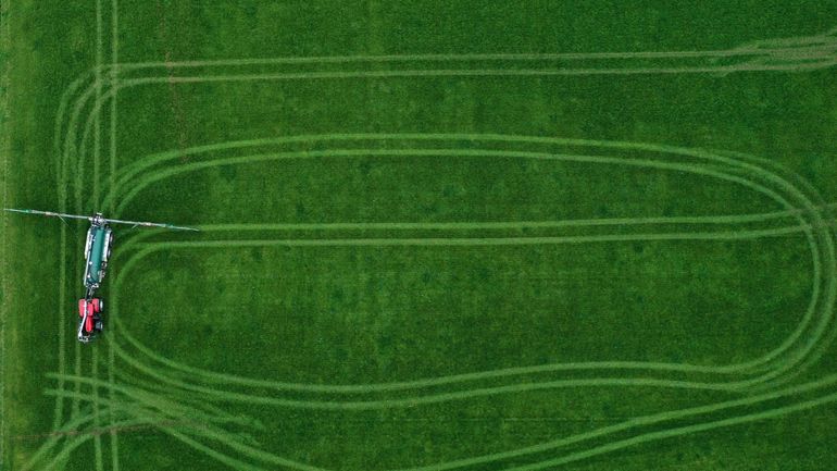 Agriculture : le Parlement européen approuve l'utilisation des nouvelles techniques génomiques