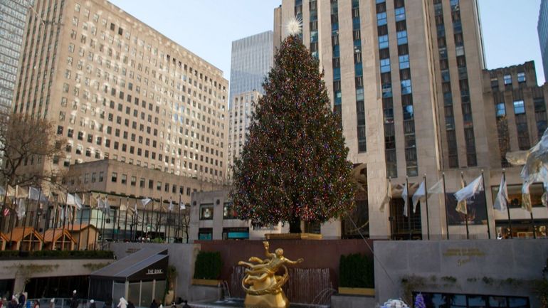Le Sapin du Rockefeller : comment New York a réussi à transformer un arbre en icône de Noël ?