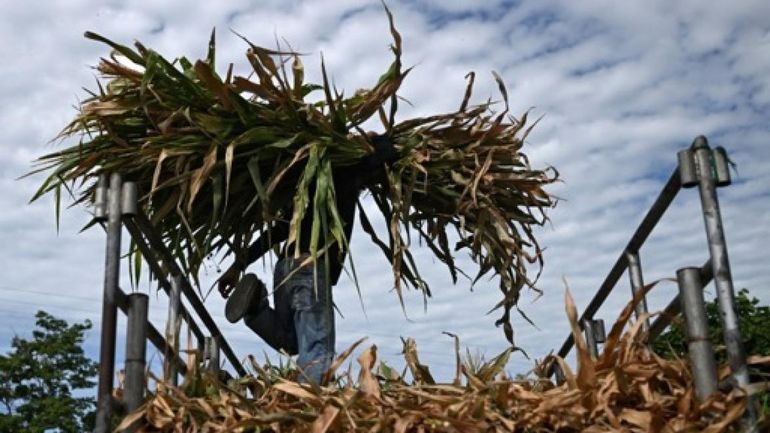El Niño devrait accroître jusqu'en 2027 les risques de phénomènes météorologiques extrêmes