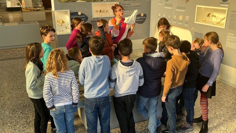 Au centre d'interprétation de la pierre de Sprimont, des enfants sont formés pour devenir guides