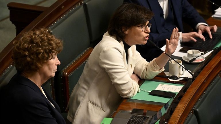 L'ex-ministre fédérale de l'Énergie, Tinne Van der Straeten (Groen), quitte le parlement pour WindEurope, la fédération sectorielle de l'énergie éolienne