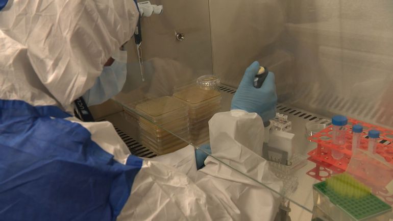 L'UCLouvain se dote d'un laboratoire de biosécurité pour étudier des bactéries et virus responsables d'infections graves