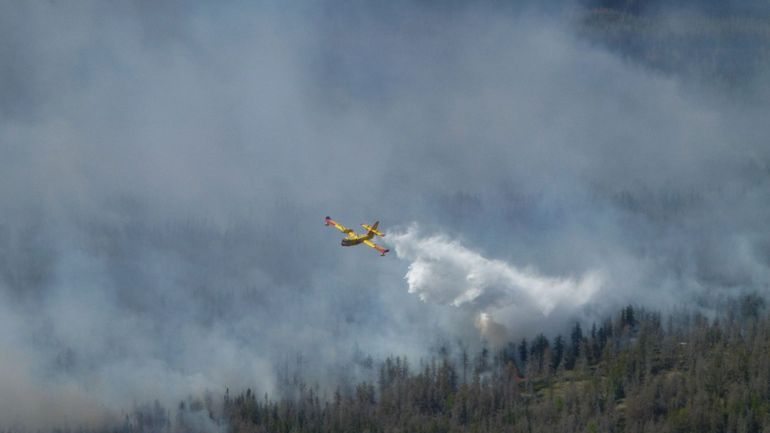 Vaste feu de forêt dans l'ouest du Canada : 20.000 personnes évacuées, l'état d'urgence déclaré