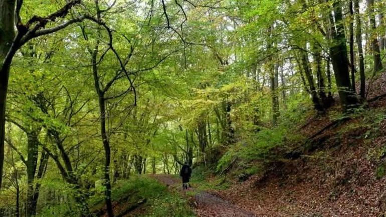 Les 15 marches Adeps du dimanche 25 octobre en Wallonie