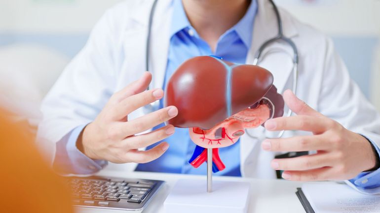 Oncologie : des chercheurs belges découvrent une nouvelle piste pour le traitement du cancer du foie