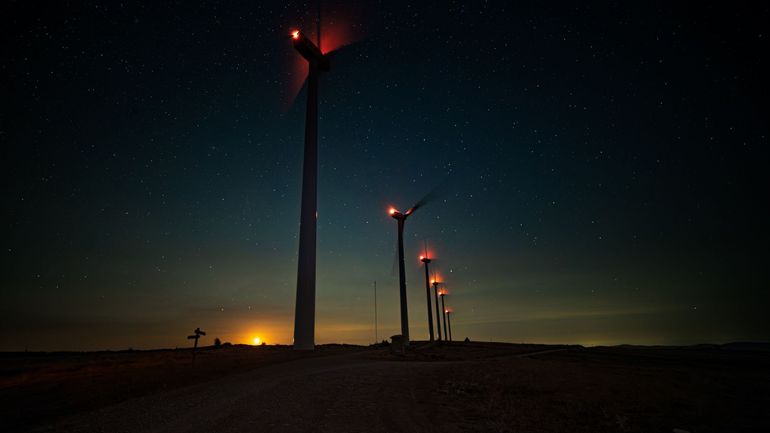 Un balisage ciblé des éoliennes peut protéger les chauves-souris