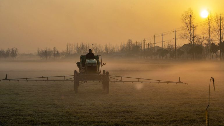 Un nouveau pesticide basé sur des OGM, autorisé en Belgique, suscite l'inquiétude