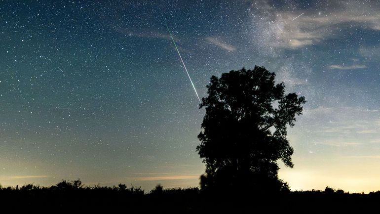 "L'astronomie est une porte d'entrée vers le monde des sciences", appuie Francesco Lo Bue, directeur du Musée de l'Université de Mons