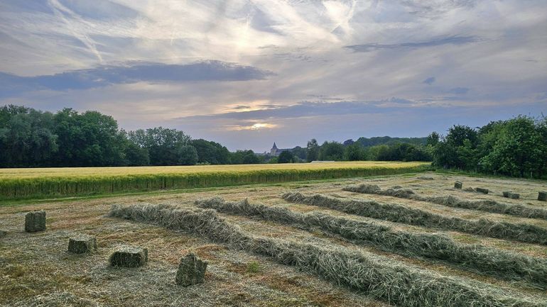 Météo en Belgique : une matinée souvent pluvieuse, du soleil en après-midi
