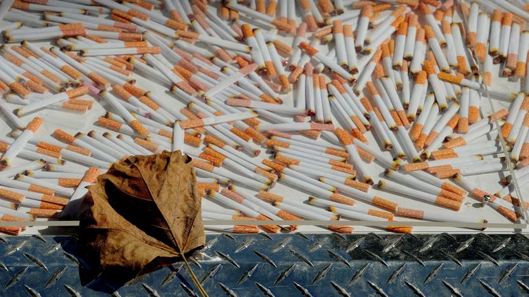 France : un important réseau de trafic de cigarettes contrefaites démantelé dans la région lilloise, 12 millions d'euros de préjudice