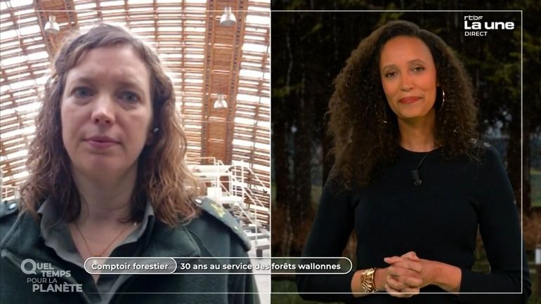 Le comptoir forestier : 30 ans au service des forêts wallonnes