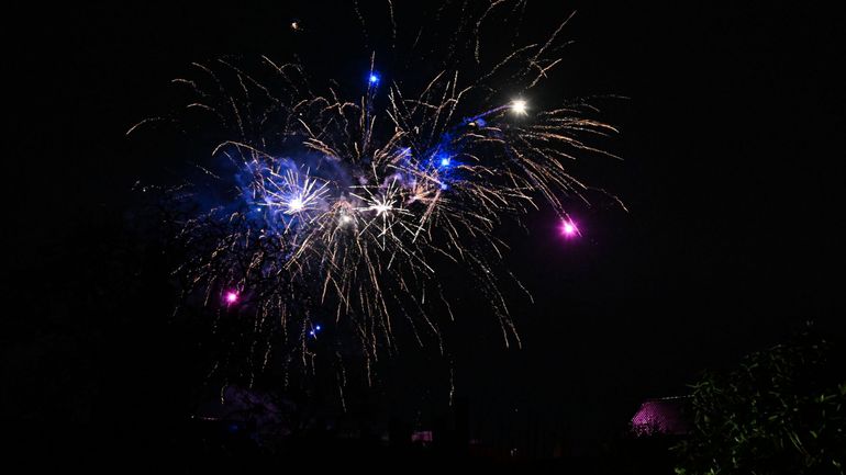 Le ministre flamand du Bien-être animal réclame une interdiction nationale de vente de feux d'artifice aux particuliers