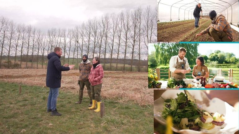 Entre serres mobiles et fourneaux : Julien Lapraille sublime le chou-rave de La Terre Ferme Entre serres mobiles et fourneaux : Julien Lapraille sublime le chou-rave de La Terre Ferme