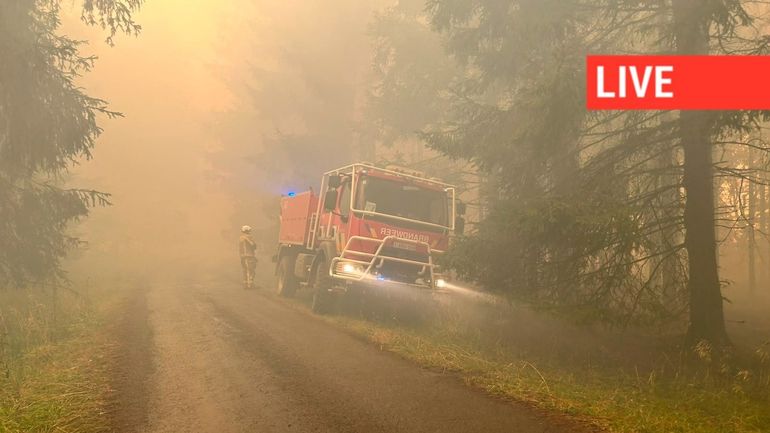 Direct - Incendie dans les Hautes Fagnes : les hélicoptères Chinook en action, les fronts de Jalhay et Montjoie sous contrôle, pic de pollution en Lorraine