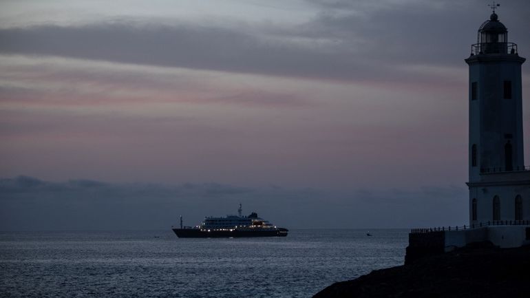 Hantavirus sur un navire de croisière : un passager infecté par la souche des Andes, transmissible entre humains