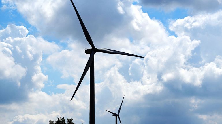La Cour constitutionnelle annule l'obligation de participation citoyenne dans les projets éoliens wallons