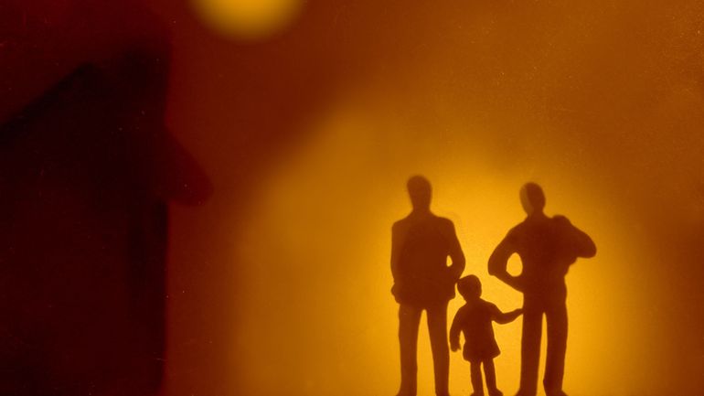 Etat civil : un enfant adopté devrait avoir davantage de choix pour son nom de famille, affirme la Cour constitutionnelle