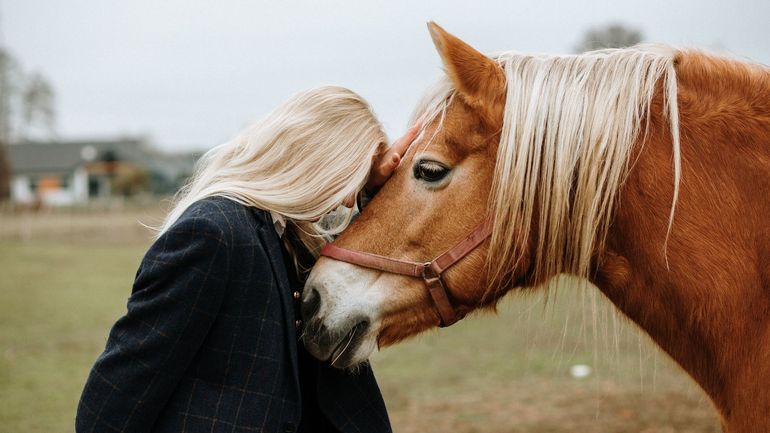 La réforme du code du bien-être animal adoptée en première lecture par le gouvernement wallon