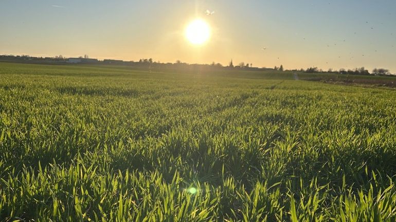 Les 20 marches Adeps du dimanche 5 avril en Wallonie