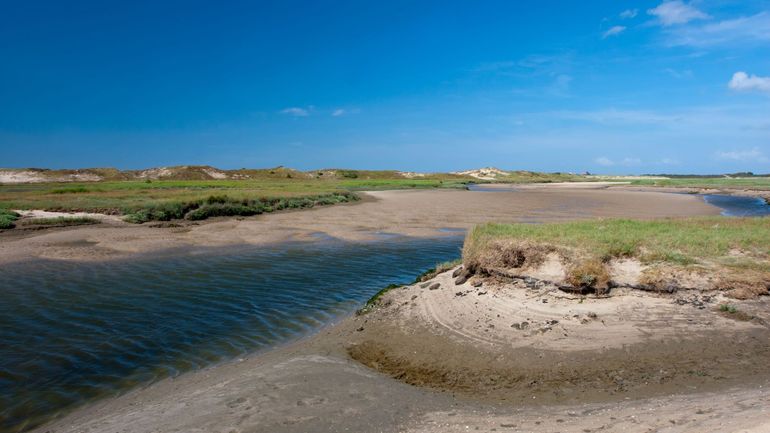 10 ans du Zwin, l'occasion de rappeler l'importance de préserver notre littoral belge