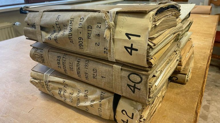 "Tintin au pays des archives" : pourquoi les millions d'archives belges de l'Africa Museum intéressent Bill Gates et les Américains