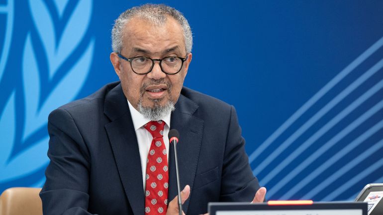Hantavirus: le patron de l'OMS "espère que les pays suivront ses conseils et recommandations"