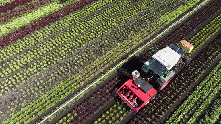 Vu d'Europe : comment une poignée de grandes entreprises agricoles ont pris le contrôle de la production alimentaire mondiale