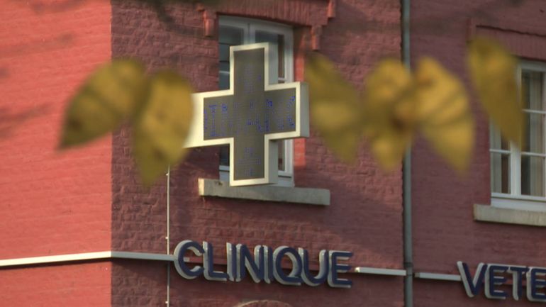 Vétérinaires : derrière des tarifs différents que nous avons essayé de comprendre, une profession que 40% des jeunes quittent après 4 ans ! Vétérinaires : derrière des tarifs différents que nous avons essayé de comprendre, une profession que 40% des jeunes quittent après 4 ans !