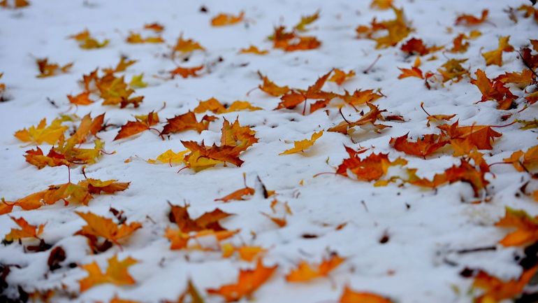 La météo en Belgique : un temps plus doux en ce début de semaine avec le retour de la pluie.