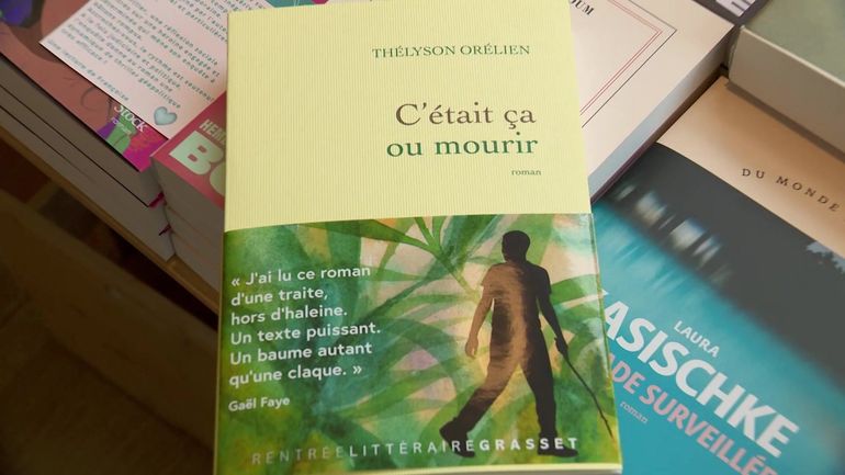 Polémique Thélyson Orélien : quelle est la place de l'IA dans le secteur de l'édition ?