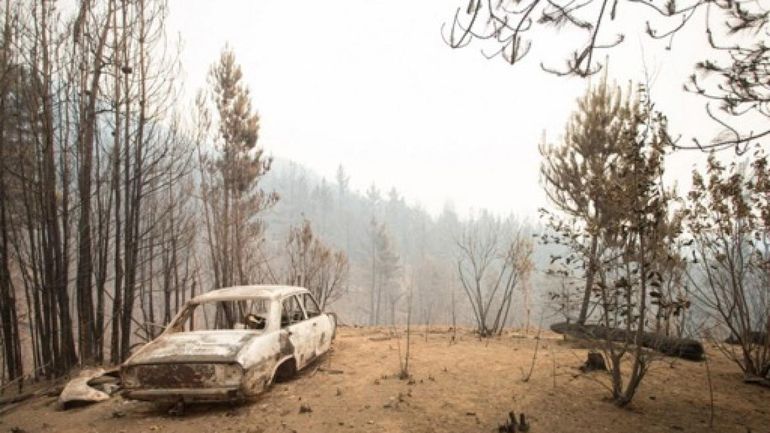 Argentine : de nombreux incendies en Patagonie entraînent l'évacuation de 3000 touristes