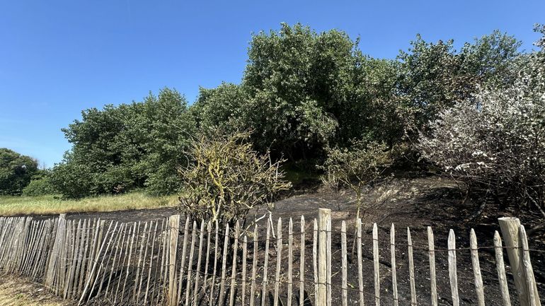 La Région flamande passe en code orange pour risque d'incendie