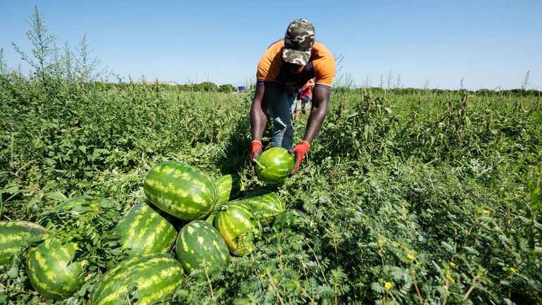 "Ici le monde" - Italie : quatre migrants brûlés vifs par la mafia des "caporalato"